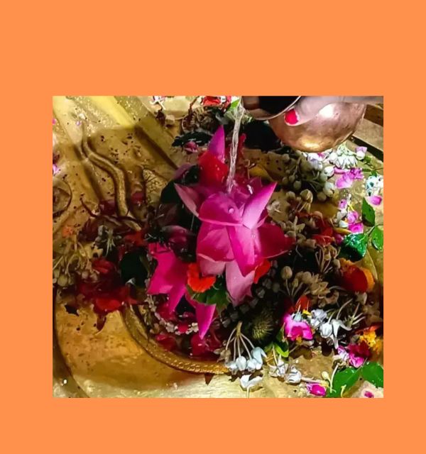 rinmukteshva