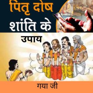 पितृ दोष निवारण - गया जी